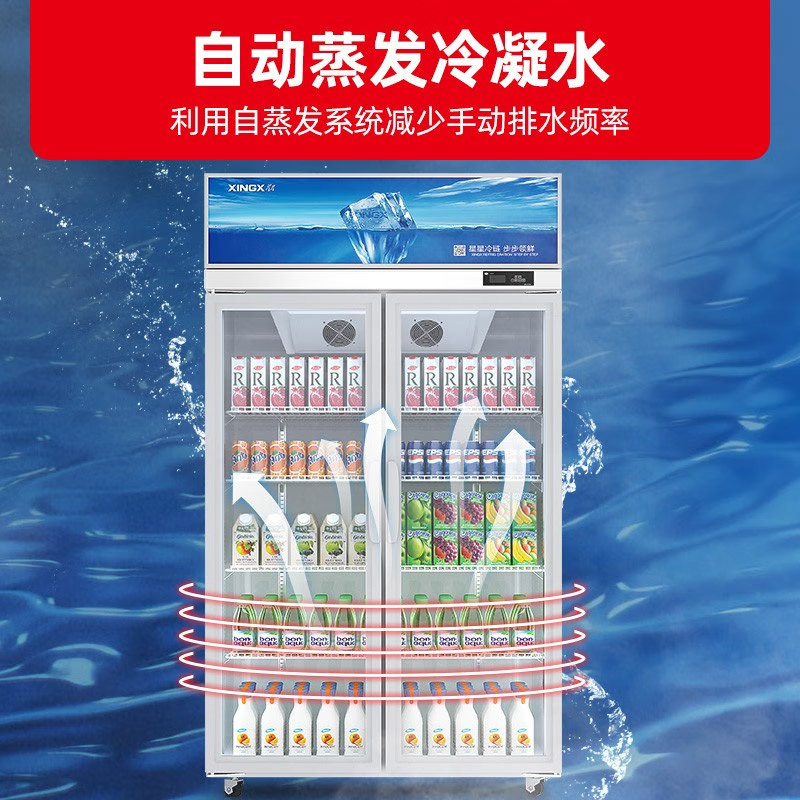 星星(XINGX)528升风冷无霜展示柜冷藏柜双门保鲜柜商用冰柜饮料超市便利店陈列柜 双门风冷无霜 LSC-528WD