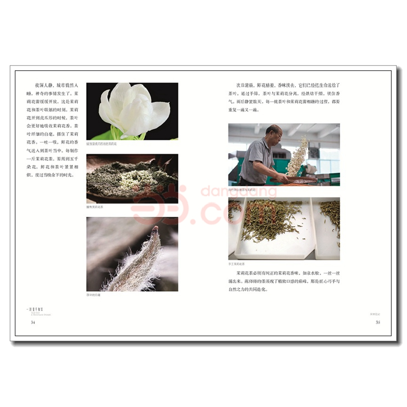 正版新书]一叶茶千夜话咪咕9787518438730高清大图