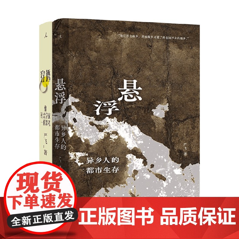 悬浮+穿透 严飞作品套装2册 严飞 著 社会科学高清大图