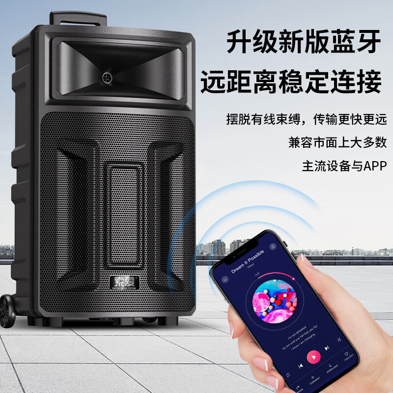 索爱(soaiy)SA-T21 广场舞大功率低音炮便携户外k歌电木吉他乐器音箱蓝牙拉杆音响 单麦高清大图