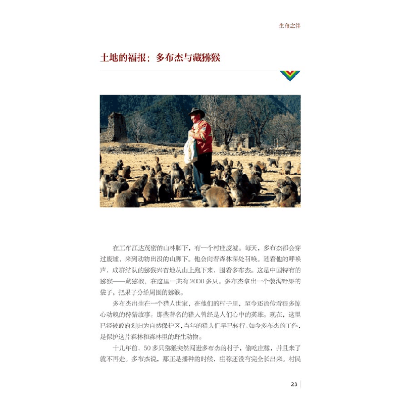 正版 第三极 郭新 著 五洲传播出版社 9787508531632 书籍图片