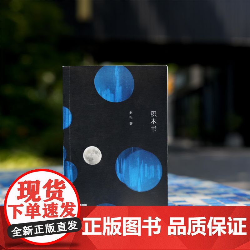 亲签版]积木书 收获文学排行榜 豆瓣年度榜单 单向街书店文学奖入选作家赵松代表作品数百个短章还原当代人的时时刻刻 中信出高清大图