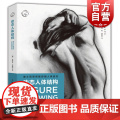 动态人体结构 迪士尼导师教你画人体姿态 人物素描速写基础入门 手绘绘画教程 人体绘画灵感与技巧 手绘速写 绘画书籍 上入