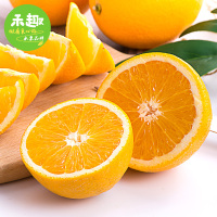 禾趣 南非橙4斤/箱装 禾趣当季应季橙子甜心橙 手剥橙橙子 新鲜秭归脐橙 新鲜水果