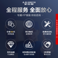 AO史密斯60升电热水器 无地线可安装 专利安全隔电 金圭内胆 速热节能 一键中温保温E60VDS 预约洗浴