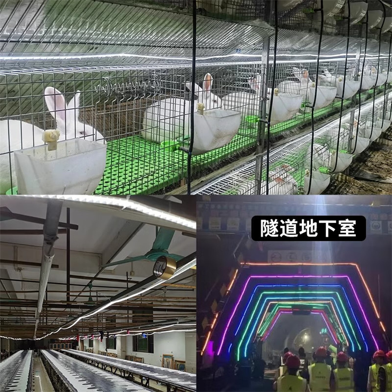 梵耀 led灯带 320珠 户外防水 客厅吊顶 工程白光灯带-白光 单位:米高清大图