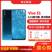 【二手8成新】vivo S1 冰湖蓝 6GB+128GB 全网通 安卓手机 6.53英寸屏 双卡双待 移动电信联通 手机