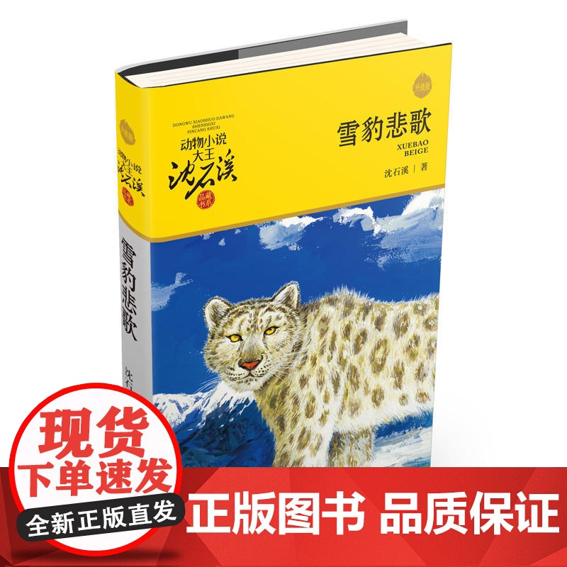 雪豹悲歌 升级版 动物小说大王沈石溪品藏书系 小学三四五六年级课外阅读书籍动物小说 浙江少年儿童出版社 正品高清大图
