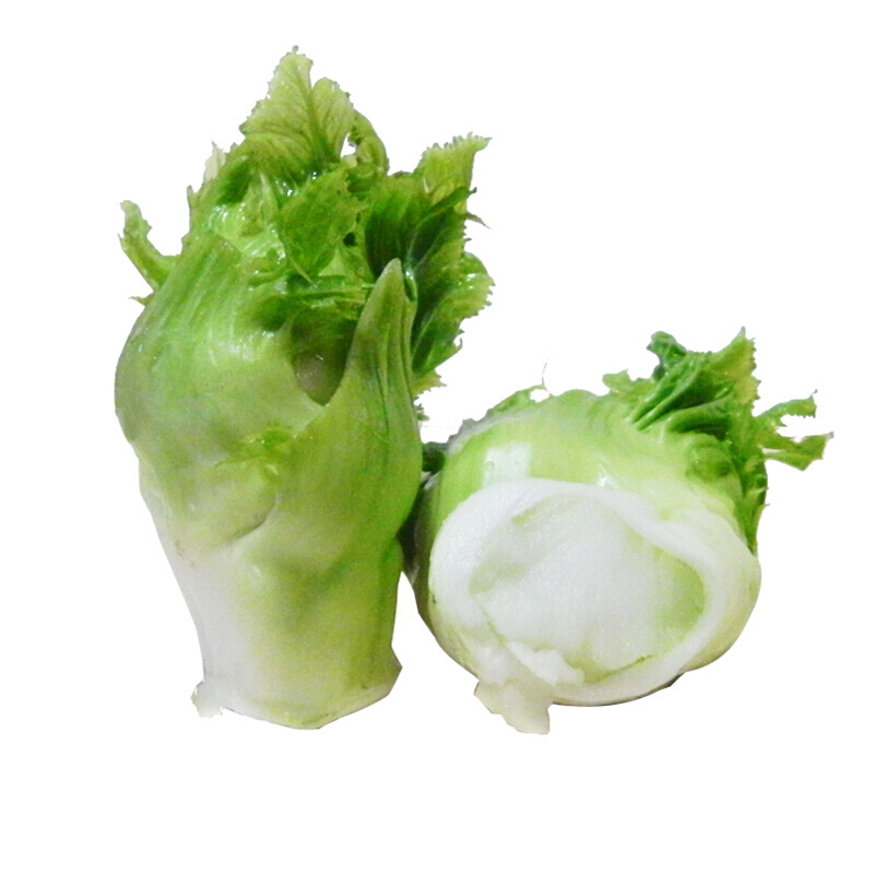 新鲜儿菜25kg脆嫩抱儿菜母子娃娃菜抱子芥菜泡菜原料可开发票