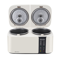 山水(SANSUI) 多功能双胆饭煲S-FB1207 左2L右2L
