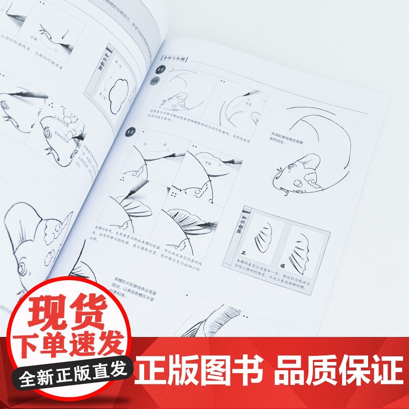 正统白描技法入门教程 中国画白描入门正统工笔花鸟技法白描勾线水墨画国画基础教程书临摹画册白描临摹图谱花鸟鱼虫高清大图