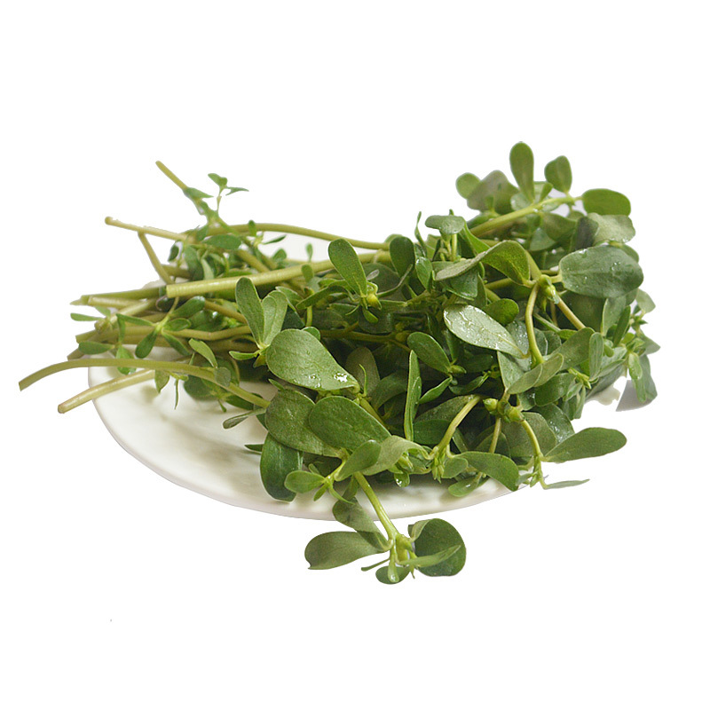 蔬果哆山东日照特产新鲜蔬菜野菜马齿苋马蜂菜15kg
