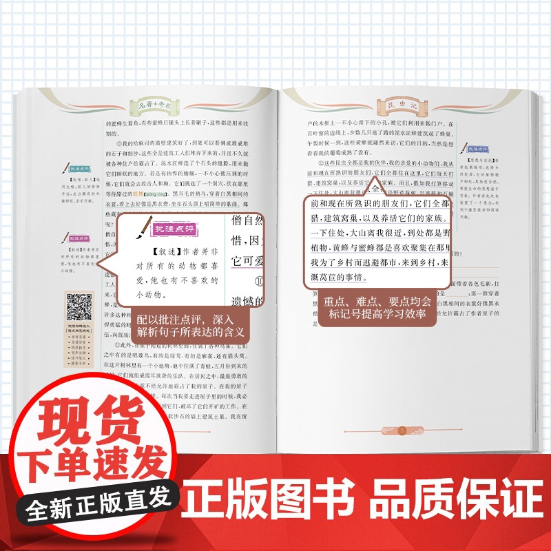 名著+考点 名人传高清大图