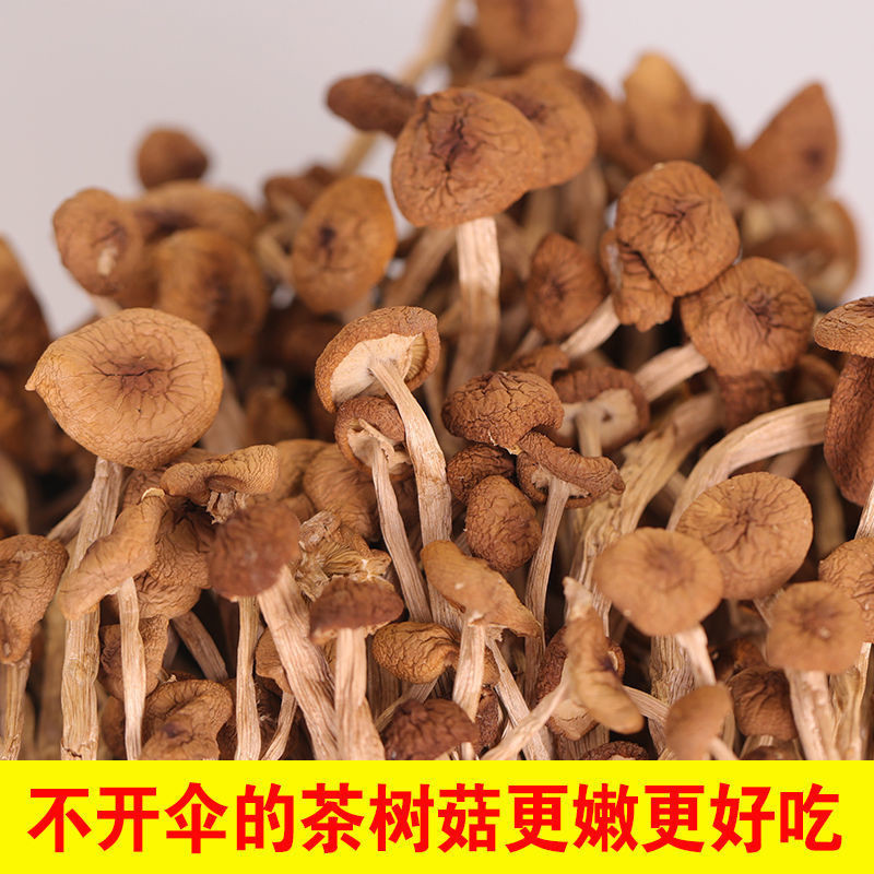 [江苏乡村振兴][财政集采][灌南]灌农 茶树菇干袋装(500克装)
