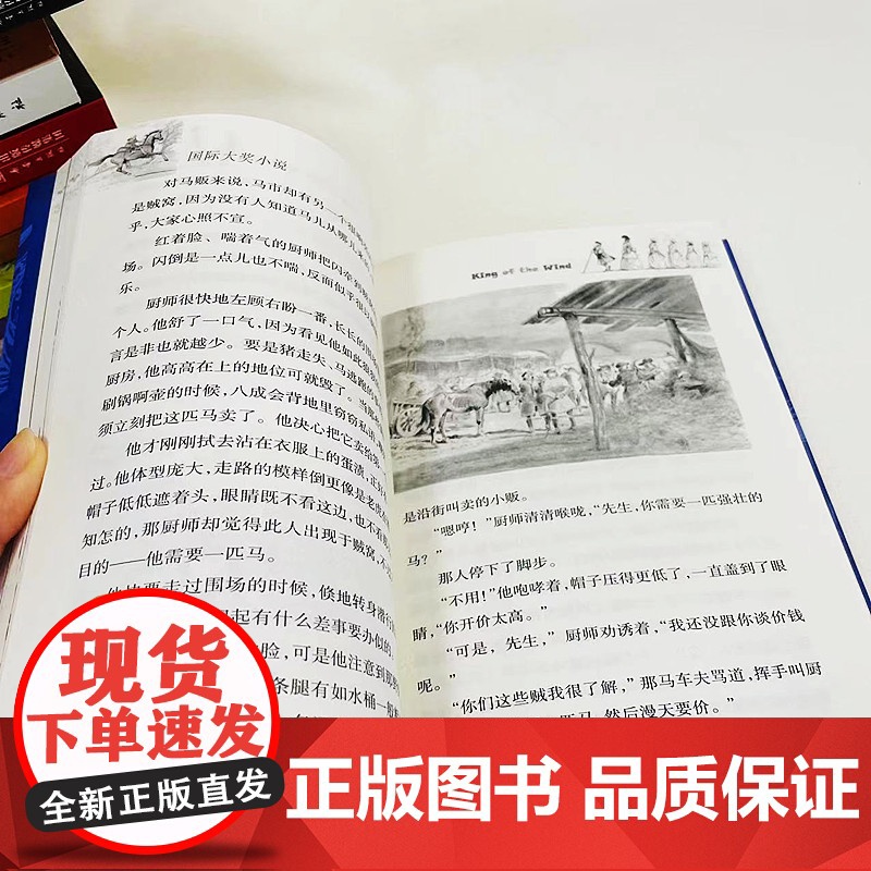 风之王书 国际大奖小说 纽伯瑞儿童文学奖金奖小学生二三四五六年级课外书校园成长小说老师寒暑假书目励志故事正版新蕾出版社高清大图