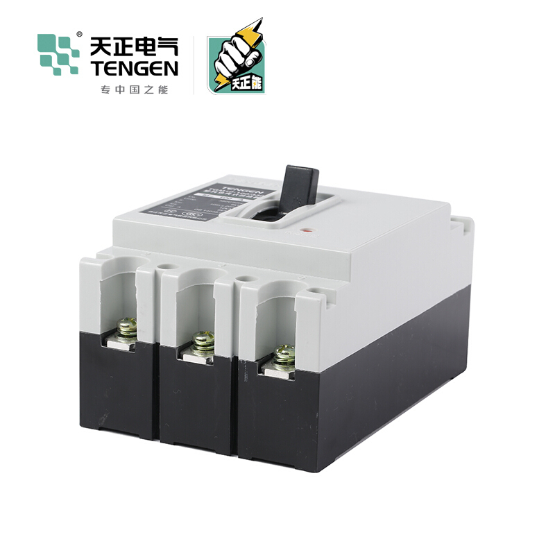 天正电气 TGM10-100 12KA 热磁式100A 3P 手动固定式380V 01040080029 塑壳断路器