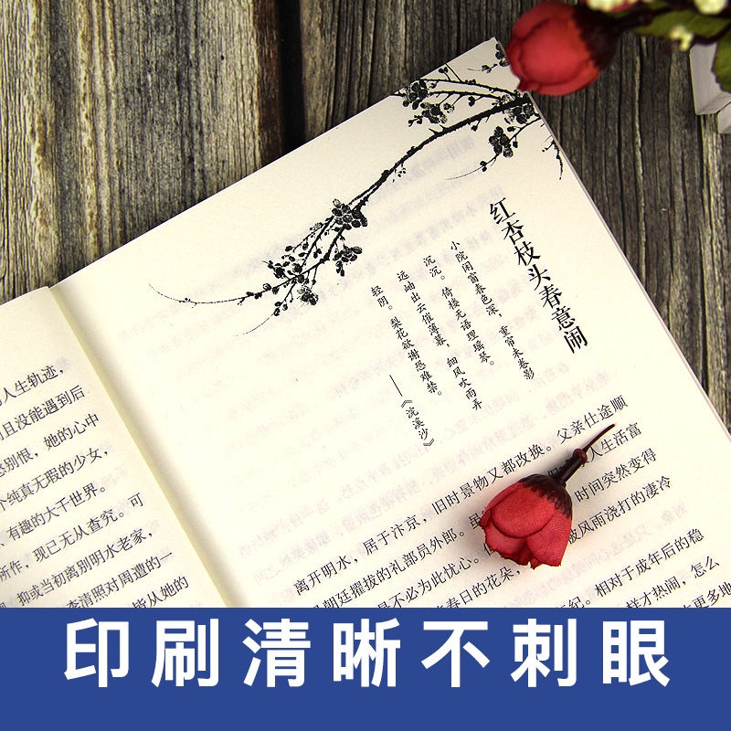 [正版]李清照词传 半生烟雨半世落花千古才女的诗词一生中国古诗词鉴赏辞典 古典文学人物传记高清大图