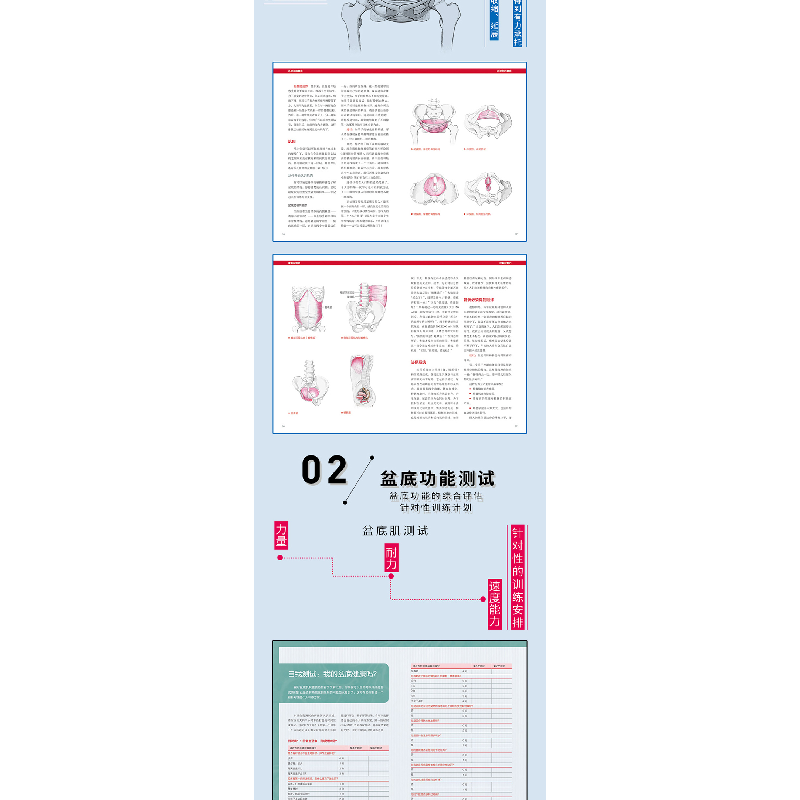 醉染图书盆底功能12周康复方案9787571405113高清大图