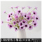 仿真花小雏菊野菊花干花花束客厅装饰摆设假花荷兰菊花绢花插花瓶-10枝紫色小雏菊
