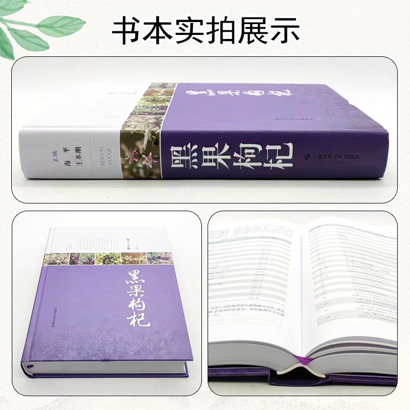 [正版] 黑果枸杞 上海科学技术出版社 9787547857809高清大图