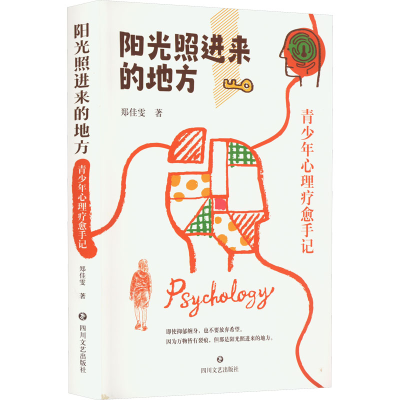 [M]阳光照进来的地方——青少年心理疗愈手记 郑佳雯 著 -9787541164651