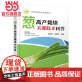 科学种菜致富问答丛书--葱高产栽培关键技术问答 张彦萍 化学工业出版社 正版书籍