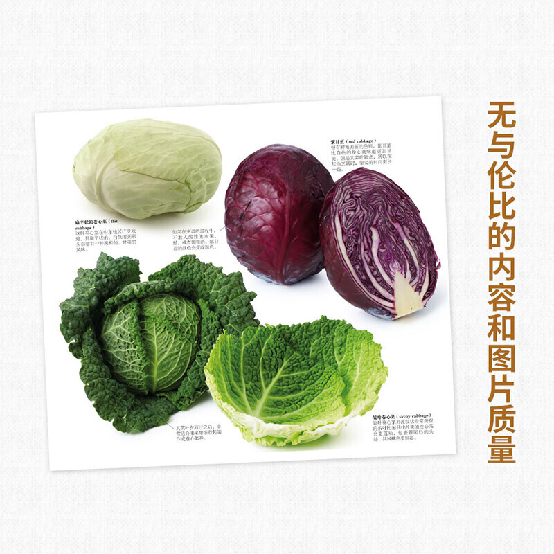 [醉染正版]DK生活食材百科全书 营养速查 2500种原材料介绍搭配彩图 西餐厨师鱼肉蔬菜香料坚果奶酪水果 主食粮油调味高清大图