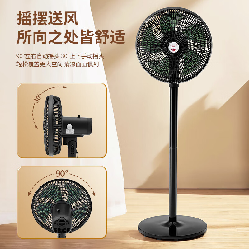 钻石牌落地扇12寸风扇FS-30C高清大图