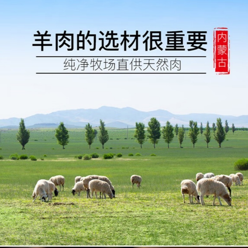 星龙港内蒙原切羊肉礼盒A2000g高清大图