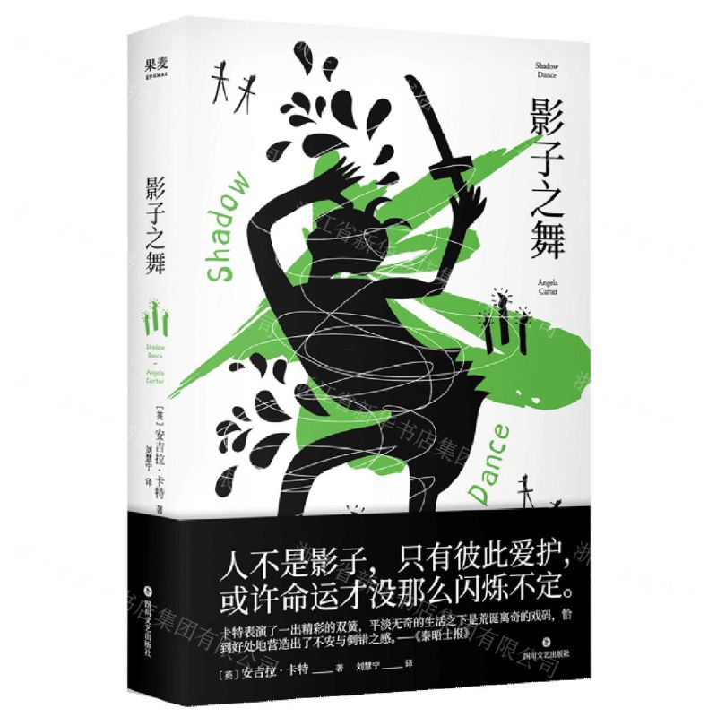 【N】影子之舞-9787541160363