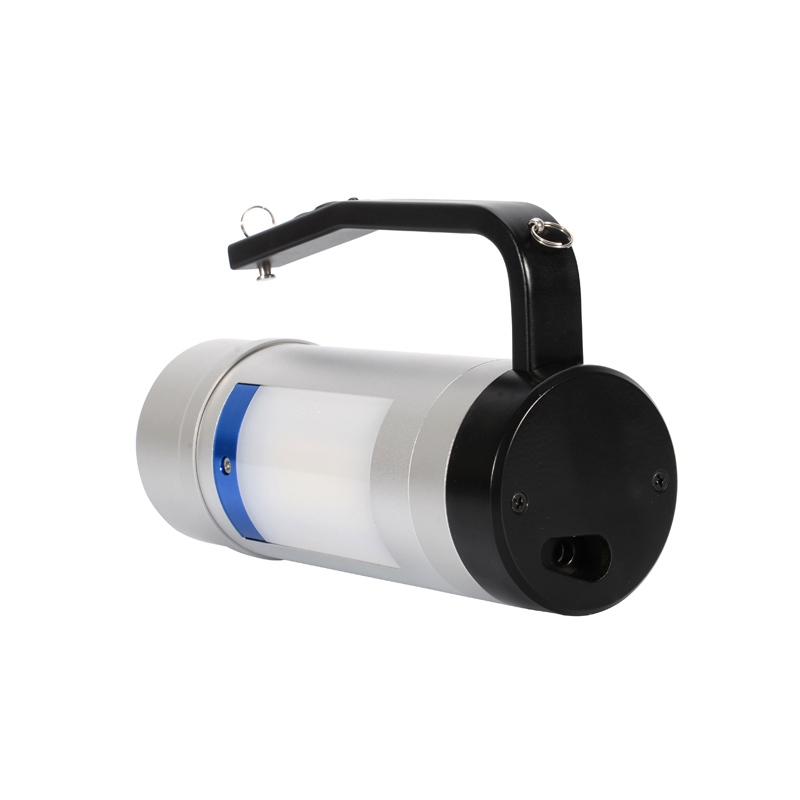 盛王盛荣强 防爆多功能手提灯高清大图