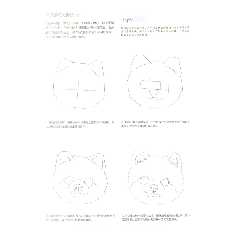 正版新书]呆萌小动物画起来:喵星人与汪星人福阿包 著9787539497高清大图