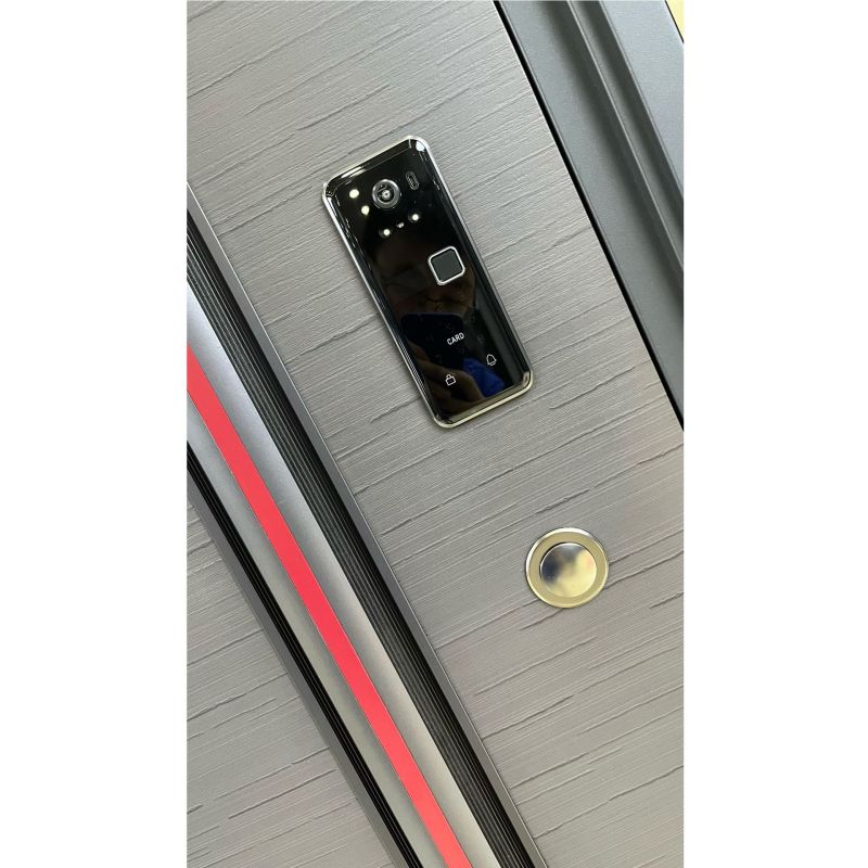 10公分锌合金精品防盗门平板门安全进户门 航空铝箔填磨砂木纹色