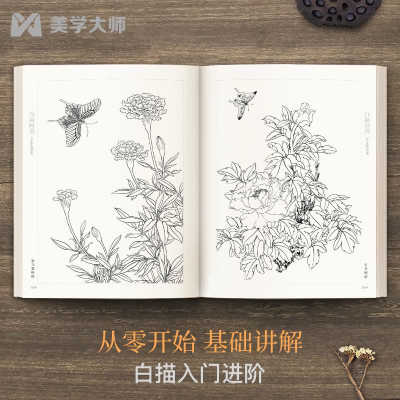 [醉染正版]白描画谱 草虫蔬果篇 中国工笔技法画册集书籍入门初自学者零基础教程材成人手绘临摹勾线名家底稿图大全美术绘画图片