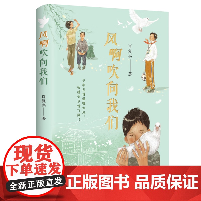 正版2025 风啊吹向我们 肖复兴 著 关于友情的少年成长小说北京联合出版公司9787559673480高清大图