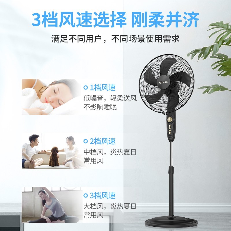 先锋 (singfun)电风扇宿舍风扇落地风扇家用定时五叶落地扇 FS40-21B高清大图