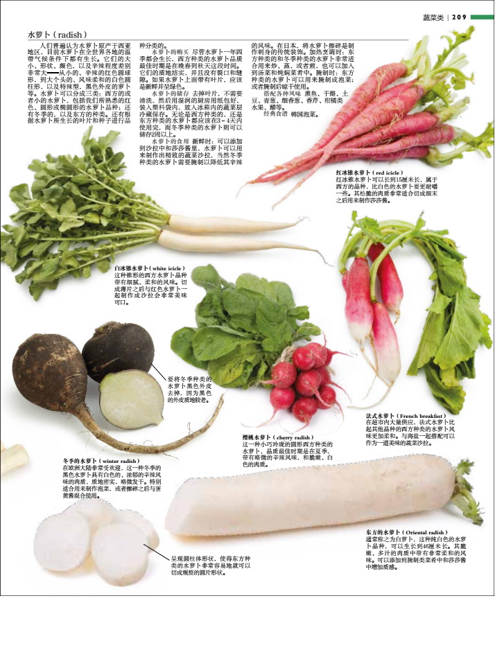 [醉染正版]生活-DK食材百科全书2500种原材料介绍搭配彩图西餐厨师鱼肉蔬菜香料坚果奶酪水果主食粮油调味品高清大图