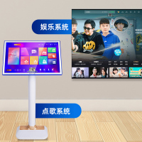 先科A10家庭KTV音响套装卡拉OK机家用点歌机全套设备 K歌点歌影院专业音箱功放包间唱歌专用客厅