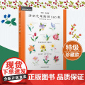 清新花草刺绣布贴 DIY手作缝纫材料套装 棉线棉麻服装鞋帽装饰贴布绣花补丁贴 春秋季原创设计 正版书设