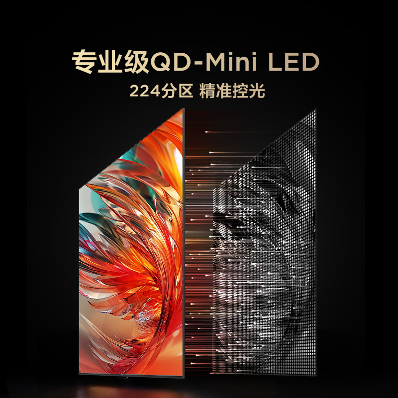 雷鸟 鹤6 25款 65英寸MiniLED电视 家电国家补贴 288Hz 4+64GB 一级能效智能电视机65S595C