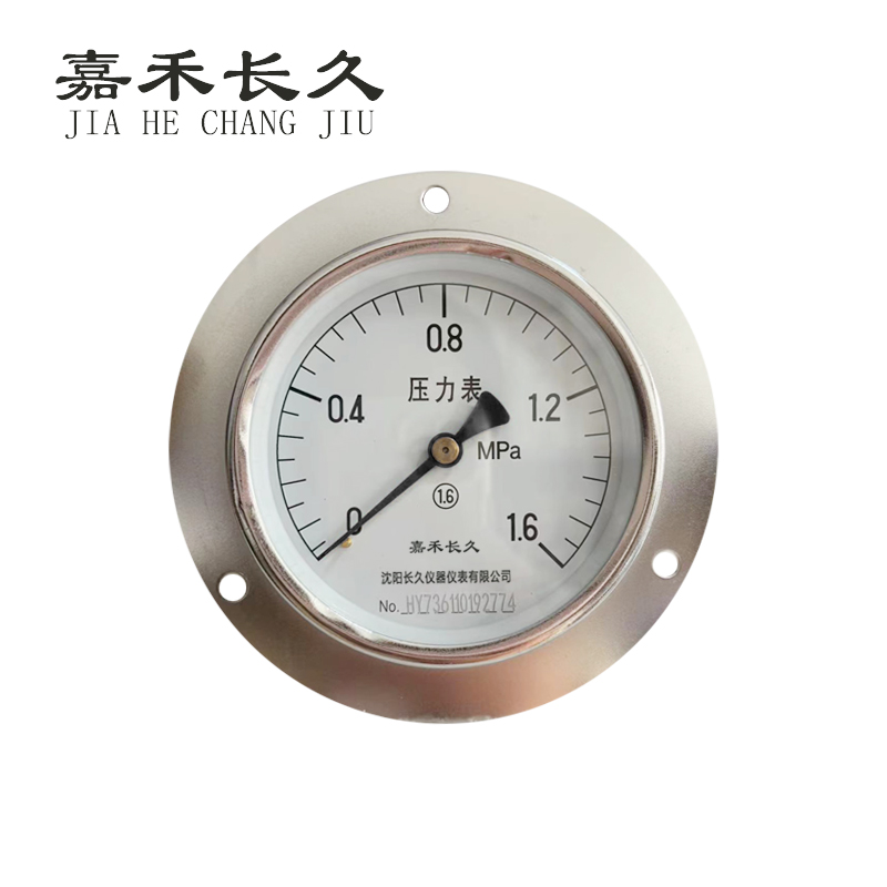 嘉禾长久+轴向带边压力表检测定制型+Y100ZT+块 0-1.6MPA