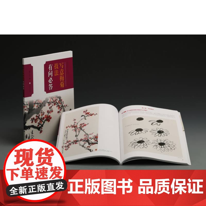 中国画技法有问必答丛书:写意梅菊技法有问必答 上海书画出版社 正版书籍高清大图