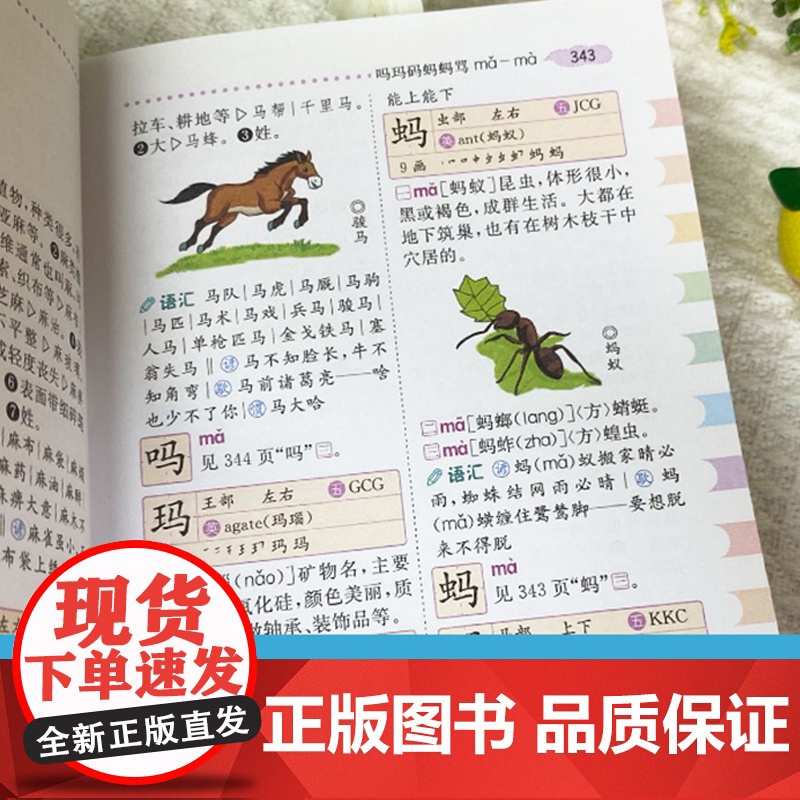 [768页]彩图版小学生多功能字典 一年级1~6年级小学生专用全功能字典通用语文教材汉字速查组词笔顺新编新华字典正版人教高清大图