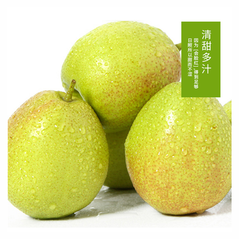 金珠泉 新疆库尔勒香梨特级果全母梨14斤一箱(10箱起发) DT 33498