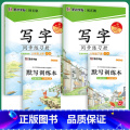 【语文同步】8年级上册+下册 【正版】八年级下册英语字帖英语同步写字人教版初中生练字课文单词短语八年级上册每日一练寒【8