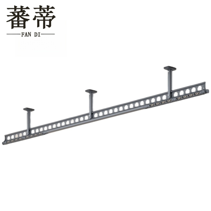 蕃蒂