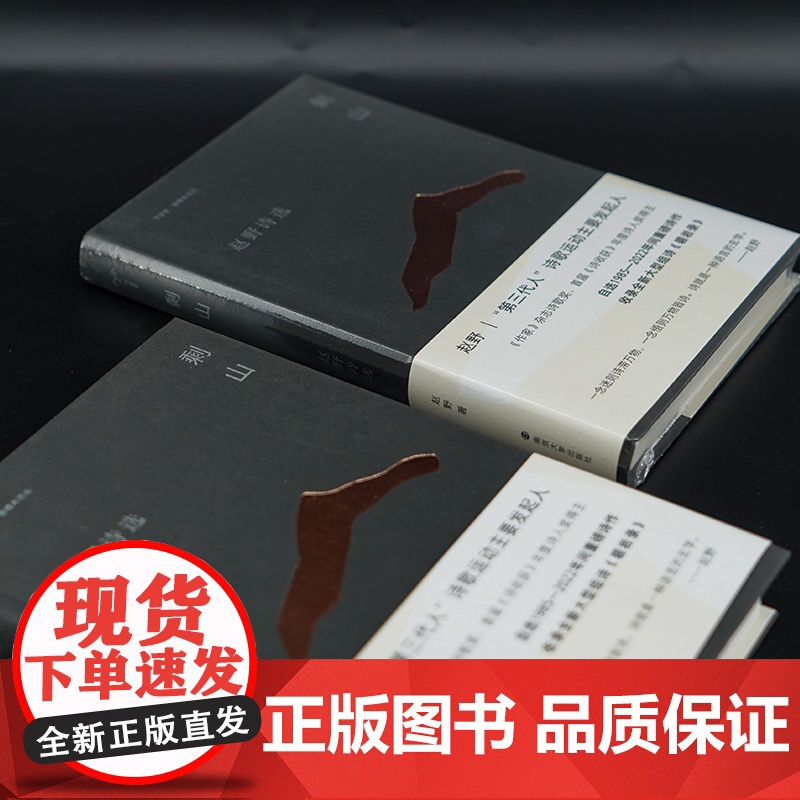 守望者 香樟木诗丛:剩山 赵野诗选 南京大学出版社高清大图