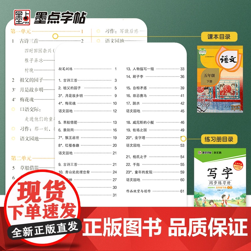 2024春墨点字帖荆霄鹏楷书写字同步练习册人教版小学五年级下语文生字临摹描红每日一练课课练硬笔书法练字本生字组词儿童控笔高清大图