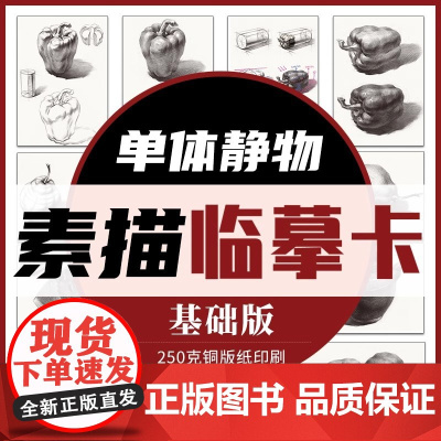 素描单体静物临摹卡基础版32K临摹范本组合画册集美术基础单个罐子道具结构解析照片写生创意卡片校联考高考名师绘画示范正版书