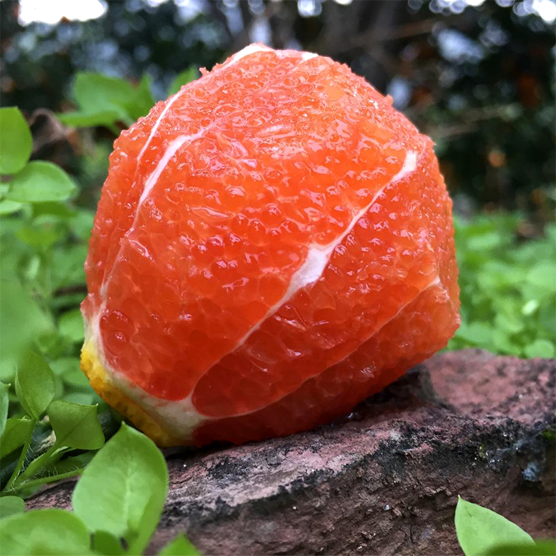 [中华特色]秭归馆 秭归脐橙 中华红橙血橙3斤装果径60-70mm新鲜采摘 产地直发 华中